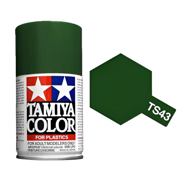 TS-43 Racing Green Sprey Boya (100 ml.)