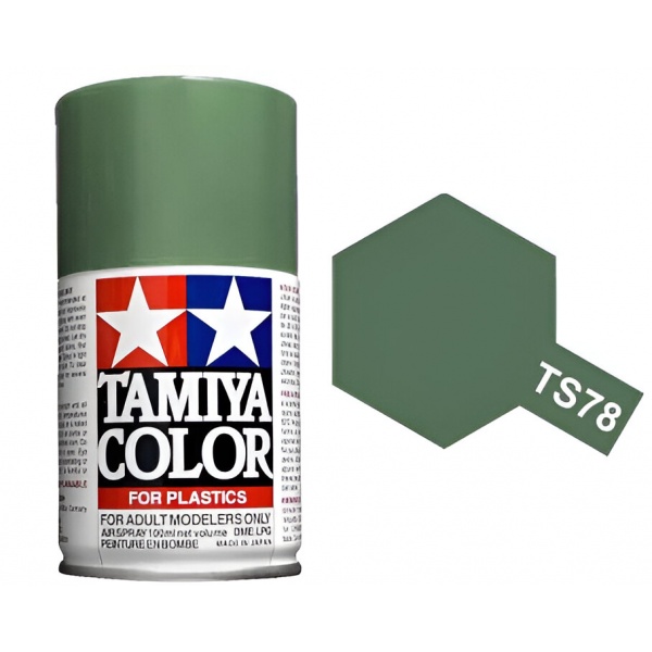 TS-78 Field Gray Sprey Boya (100 ml.)