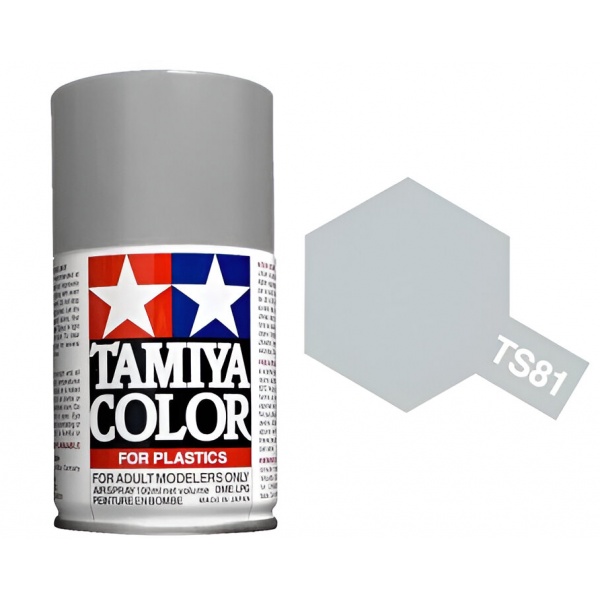 TS-81 Royal Light Gray Sprey Boya (100 ml.)