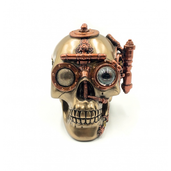 Steampunk Kurukafa Temalı Saklama Kutusu, Bronz ve Renkli El Boyaması 17x12x13 cm