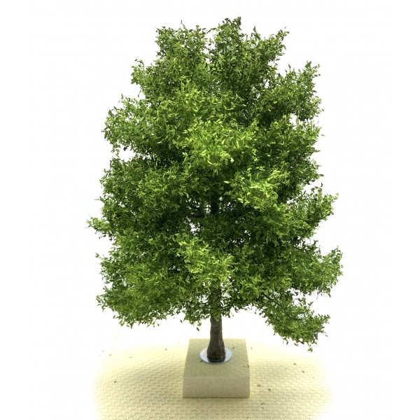 Bahar Yeşili Meşe Ağacı Maketi (30 cm)