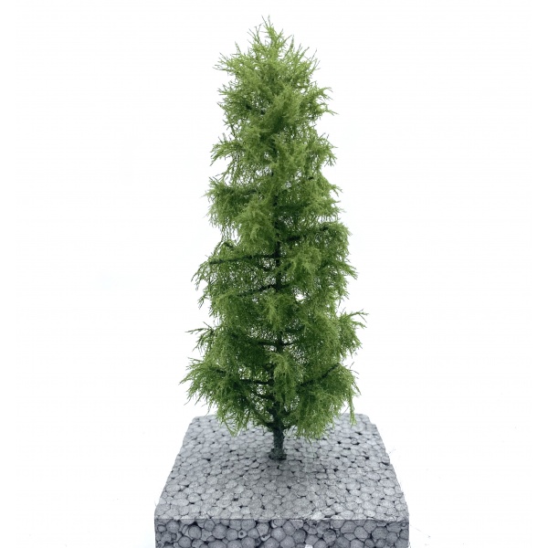 Duglas Köknarı Ağaç Maketi (20 cm)