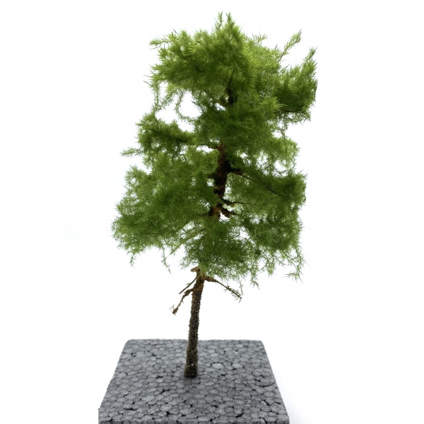 Kızılçam Ağaç Maketi (20 cm)