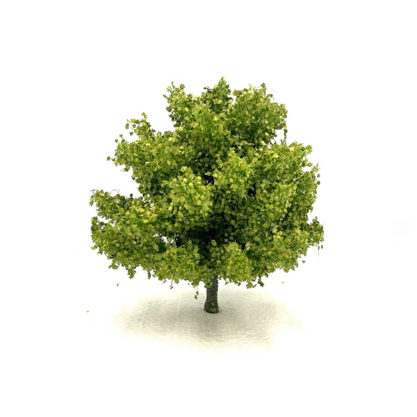 Yaz Yeşili Çınar Ağacı Maketi (15 cm)