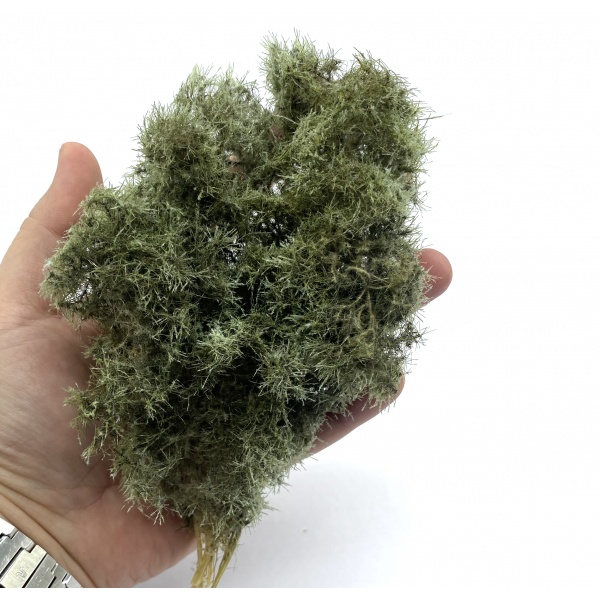 Adaçayı Yabani Çalılık Kümesi