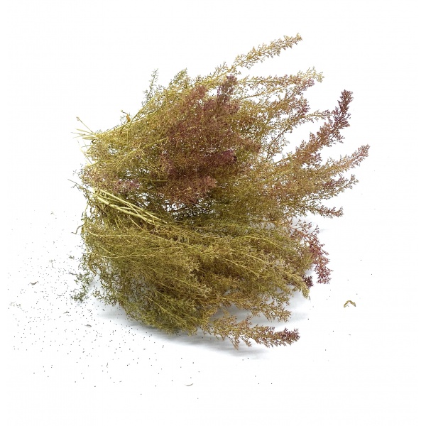 Çalılık ve Ağaç Dalı için Yabani Bitki Kümesi