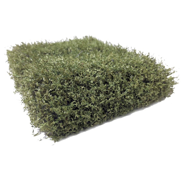 Huş Çalılık Yüzey (17 x 14 cm)