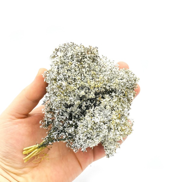 İlkbahar Beyaz Yapraklı Çalılık Kümesi