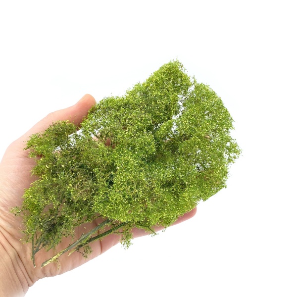 İlkbahar Yeşili Yapraklı Çalılık Kümesi