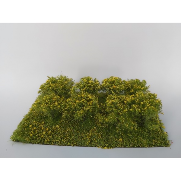 Sarı Çiçek Açmış Çalılıklar