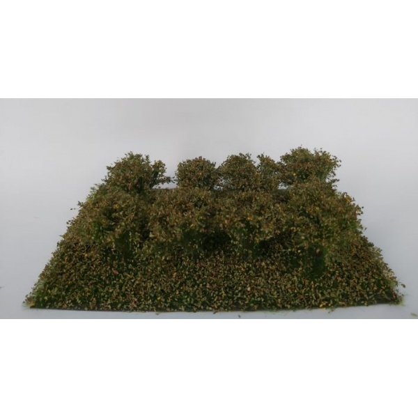 Sonbahar Öncesi Çalılıklar