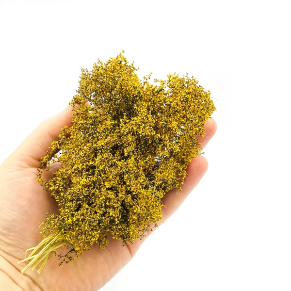 Sonbahar Yabani Çalılık Kümesi