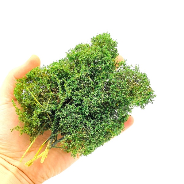 Yaz Yeşili Yabani Çalılık Kümesi