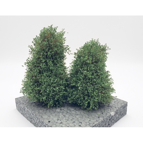 Yaz Yeşili Yapraklı Yüksek Çalılık 13 cm (2 Adet)