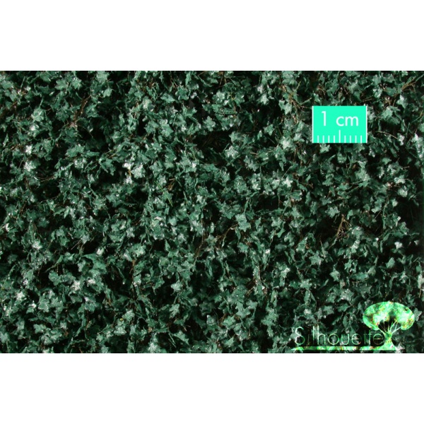 Yeşil Küçük Yapraklı Sarmaşık (15 x 4 cm)