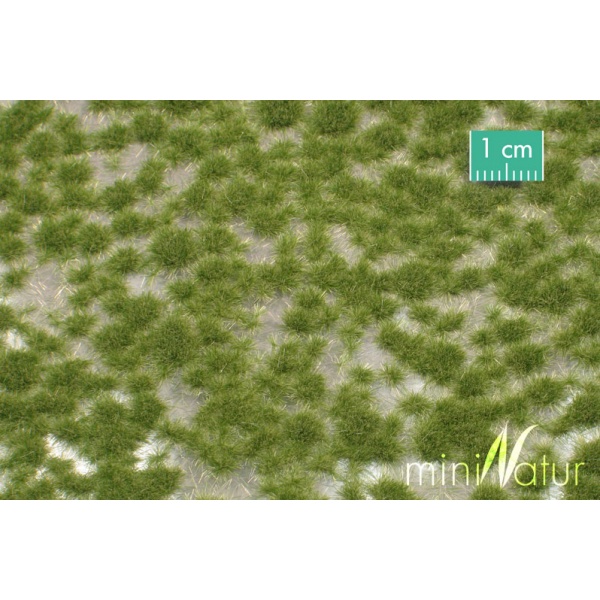 2mm Sonbahar Öncesi Çim Öbeği (30 x 4 cm)