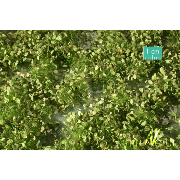 6,5mm İlkbahar Yeşili Yapraklar Düşmüş Çim Öbeği (30 x 4 cm)