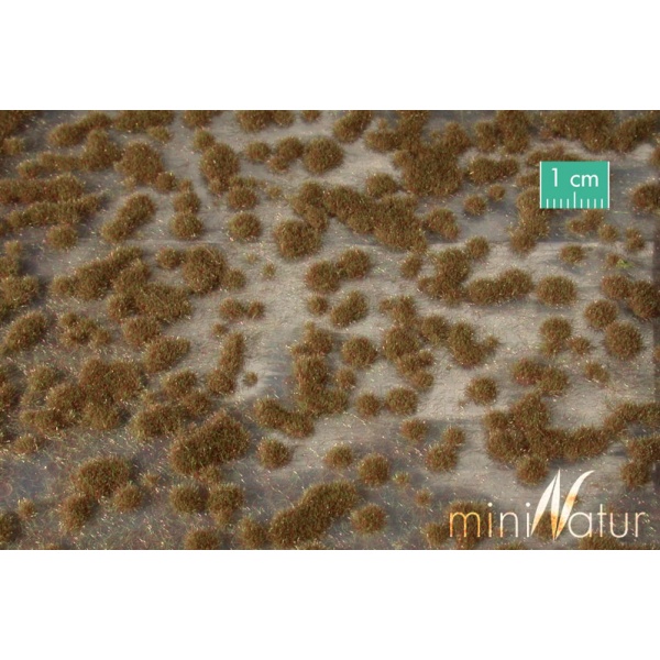 Sonbahar Sonu Yosun Öbekleri (30 x 4 cm)