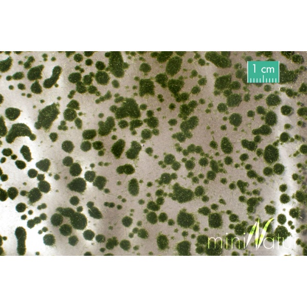 Yaz Yeşili Yosun Öbekleri (30 x 4 cm)