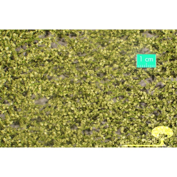 İlkbahar Yeşili İri Huş Ağacı Yaprağı (15 x 4 cm)