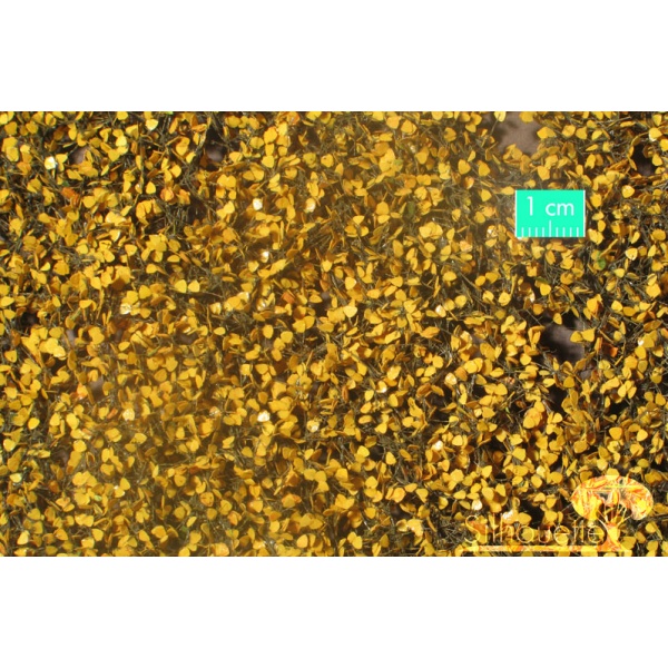 Sonbahar İri Huş Ağacı Yaprağı (15 x 4 cm)