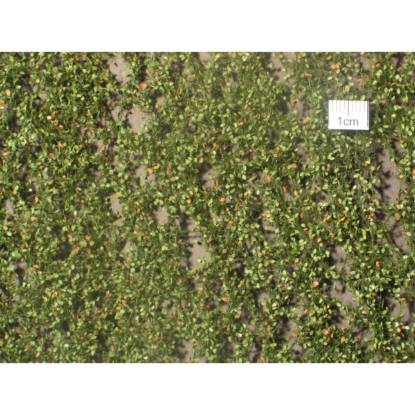 Sonbahar Öncesi Kayın Ağacı Yaprağı (15 x 4 cm)