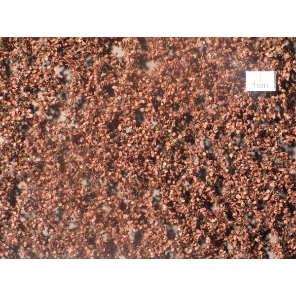 Sonbahar Sonu İnce Kayın Ağacı Yaprağı (15 x 4 cm)