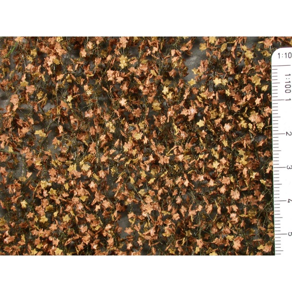 Sonbahar Sonu İri  Çınar Ağacı Yaprağı (15 x 4 cm)