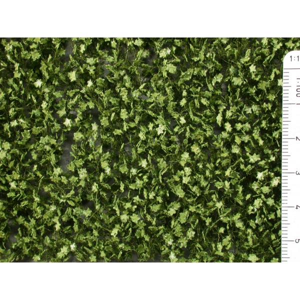 Yaz Yeşili Çınar Ağacı Yaprağı (15 x 4 cm)