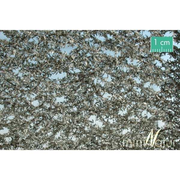 Zeytin Ağacı Yaprağı (15 x 4 cm)