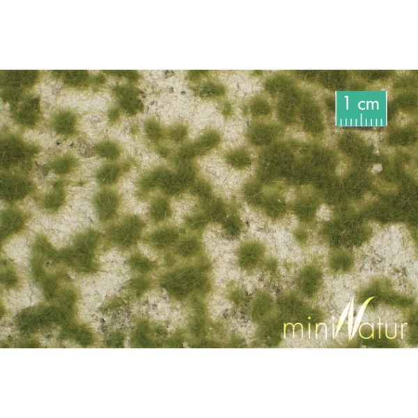 İlkbahar Yeşili Kireç Taşlı Çayır Yüzey (31,5 x 25 cm)