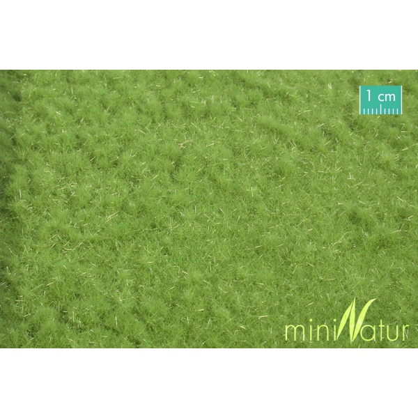 İlkbahar Yeşili Koyun Merası Çim Çayır Yüzey (31,5 x 25 cm)