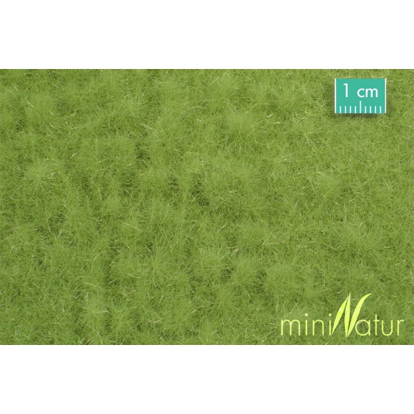 İlkbahar Yeşili Sığır Merası Çim Çayır Yüzey (31,5 x 25 cm)