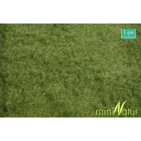 Sonbahar Öncesi Çim Otlak Yüzey (31,5 x 25 cm)