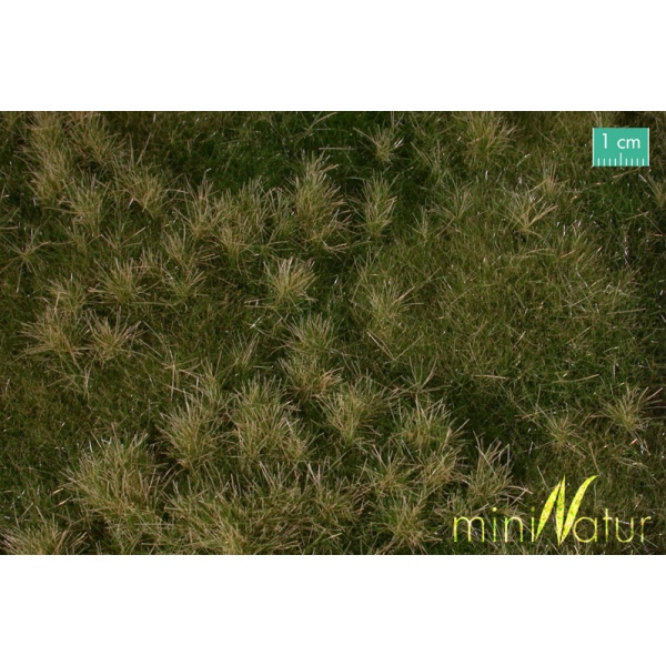 Sonbahar Öncesi Karışık Çim Çayır Yüzey (25 x 15,5 cm)