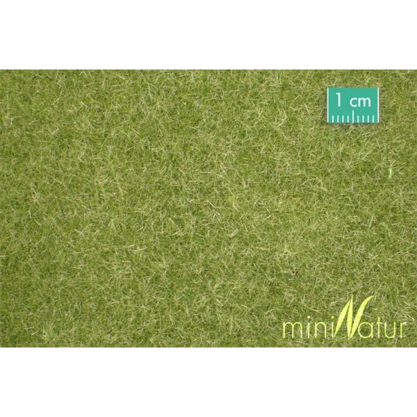 Sonbahar Öncesi Kısa Çim Çayır Yüzey (31,5 x 25 cm)