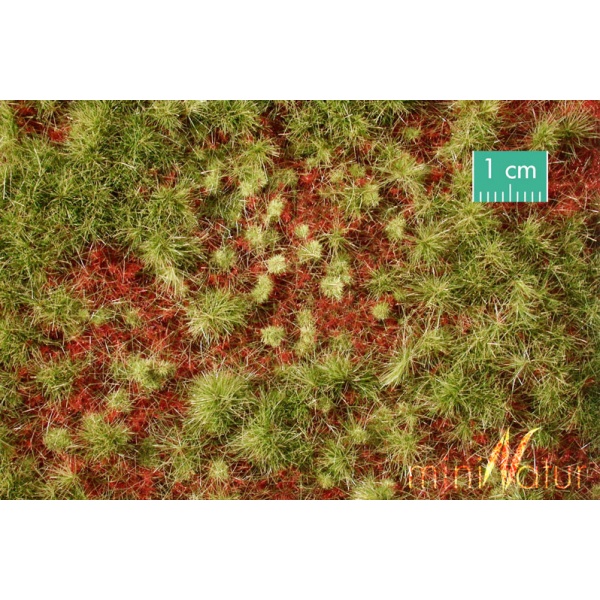 Sonbahar Öncesi Orman Zemin Görüntülü Çim Yüzey, 1/32 ve 1/45 arası ölçekler için (31,5 x 25 cm)