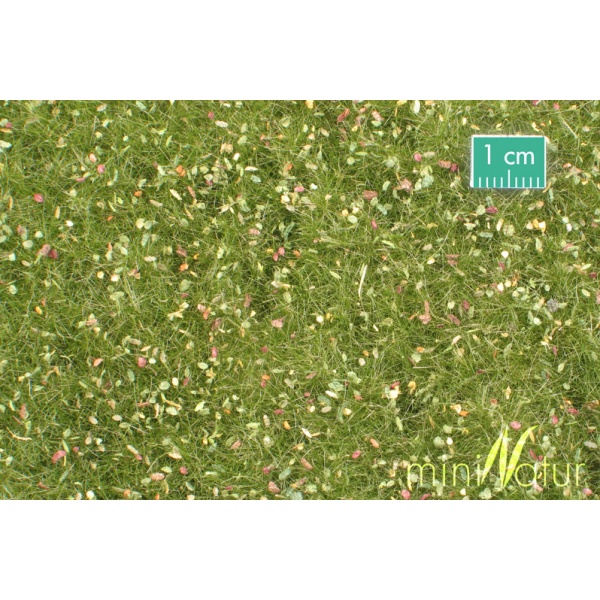 Sonbahar Öncesi Yaprakları Düşmüş Çim Yüzey (31,5 x 25 cm)