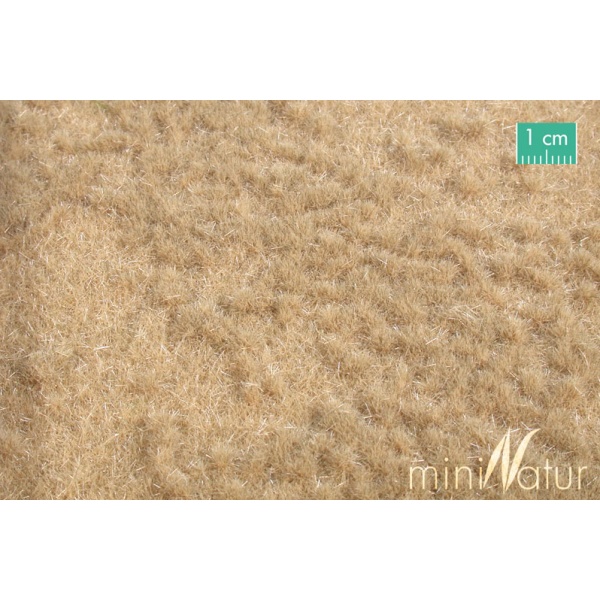 Sonbahar Sonu Çim Otlak Yüzey (31,5 x 25 cm)