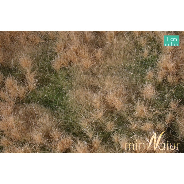 Sonbahar Sonu Karışık Çim Çayır Yüzey (25 x 15,5 cm)