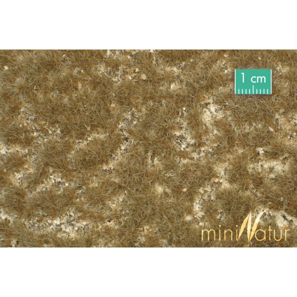 Sonbahar Sonu Kireç Taşlı Çayır Yüzey (31,5 x 25 cm)