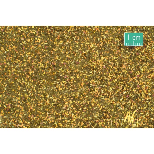 Sonbahar Yaprakları Düşmüş Çim Yüzey (31,5 x 25 cm)