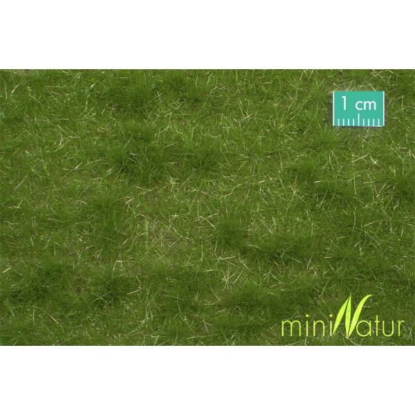 Yaz Yeşili Sığır Merası Çim Çayır Yüzey (31,5 x 25 cm)