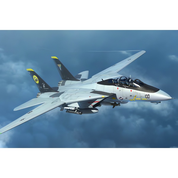 1/144 US. F-14 D Tomcat Plastik Uçak Maket Kiti